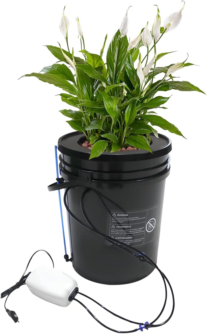 DWC Hydroponics Grow System with Top Drip Kit 5-Gallon Plastic Hydroponic Growing System Kit for Indoor/Outdoor Morus Vegetables