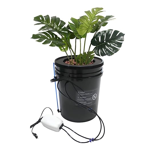 2 in 1 Deep Water Culture Kit with Air Pump Soilless Planting System Hydroponic Grow System Kit Feed Circulation Drip Irrigation 5-Gallon Deep Water Culture for Indoor&ampOutdoor