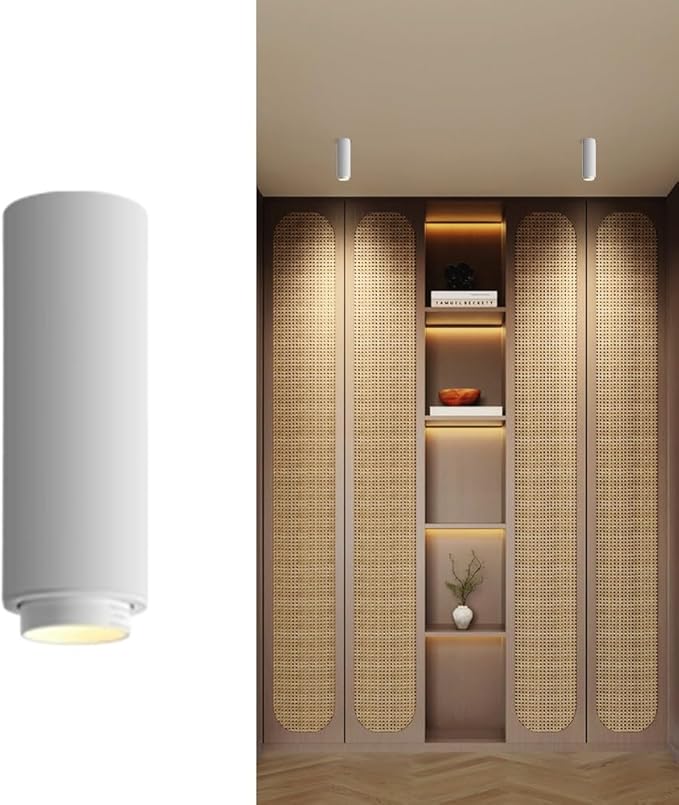 Spotlight Cylinder Flush Mount Spotlight Fixture 7w 4000k Directio l Spotlights Accent Lamps for Living Room Bedroom Hallway