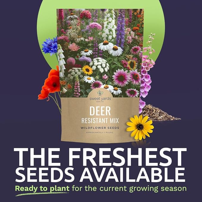 Deer Resistant Wildflower Seed Mixture - Bulk 1 Pound Bag - Over 240000 Deer Tolerant Seeds - Open Pollinated and Non GMO
