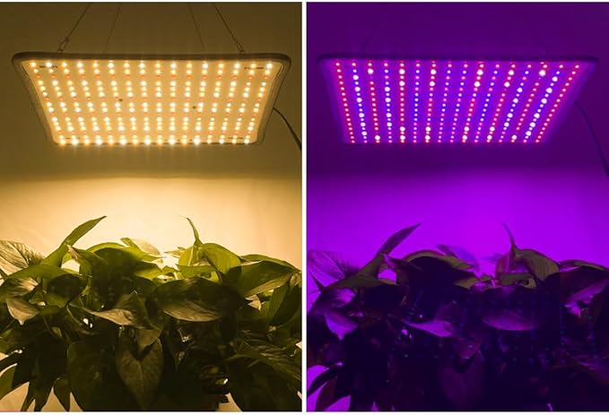 4PCS 1000W LED Professional Planting Grow Lights Equipped with 2835 SMD high Efficiency Chips Simulates Natural Sunlight Full Spectrums to Boost Photosynthesis it Suits greenhouses Fill Plant Lamps