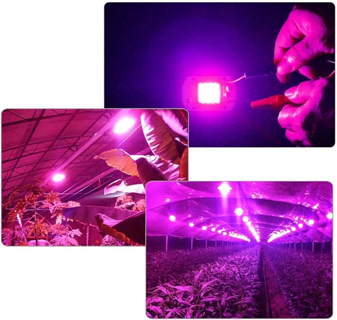 Pack of 20 LED Plant Grow Light Chips AC110V 20W/30W/50W Full Spectrum Plant Light Household Bulbs(30W)