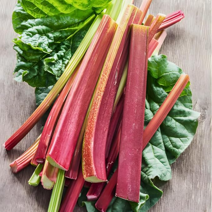 3 Rhubarb Roots Plants for Planting Large Red Cherry Rhubarb Crown Fast-Growing Hardy Rhubarb Plant for Outdoor and Backyard GardensHardy Non GMO Plant for Homegrown Gardens