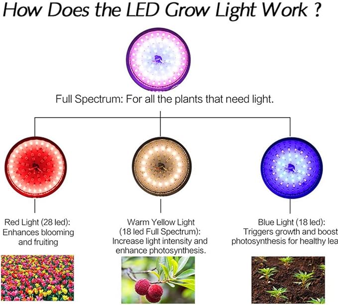 50W Full Spectrum LED Plant Grow Light Bulb E26 Base AC 85-265V LED Plant Light Bulb for Indoor Plants Vegetables Seedlings Hydroponics Indoor Garden Greenhouse 2-Pack