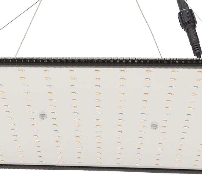 1000W LED Grow Light Promoting Growth Energy Saving LED Plant Grow Light Professional Red and Blue Spectrum Plant Light for Indoor Plants Greenhouse(US)