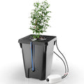 DWC Hydroponics Growing System with Top Drip Kit 7 Gallon Deep Water Culture Bucket System with Air Pump Air Stone Air Hose Recirculating Drip Garden System