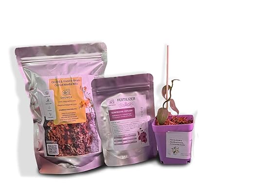 GROW24 Vanilla Orchid Starter Plant kit 4-inch Pots Plus Media Mix and Slow Release Fertilizer (1)