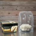 Lion's Mane Mushroom Grow Kit | Large 5.5 LB Fruiting Block | with Custom Humidity Tent &amp Filters | Grow Anywhere
