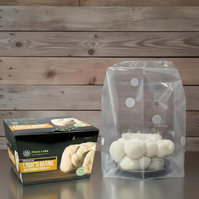 Lion's Mane Mushroom Grow Kit | Large 5.5 LB Fruiting Block | with Custom Humidity Tent &amp Filters | Grow Anywhere
