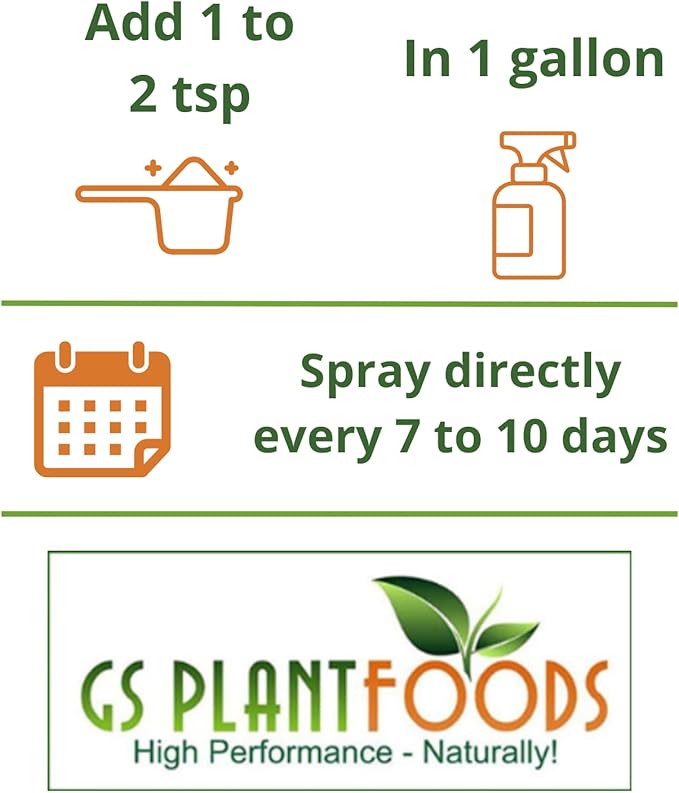 GS Plant Foods All Purpose Water Soluble 20-20-20 Fertilizer Balanced NPK Plant Food with Micronutrients Contains Kelp (Ascophyllum nodosum) for Indoor &amp Outdoor Plants Gardens &amp Turf (3 lbs