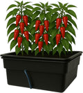 Hydroponic Flood Table Grow System (Ebb and. Flow) Perfect for 2 x 2 Tents