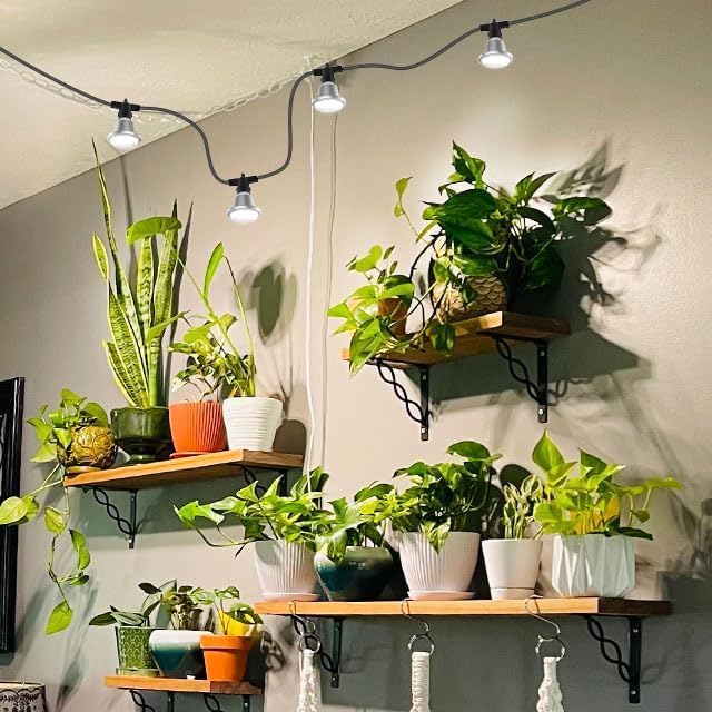 SANSI Hanging Grow Light String for Indoor Outdoor Plants 6 LED Grow Light Bulbs 72W with Optical Lens for High PPFD IP65 Waterproof Plant Grow Lamp for Greenhouse Garden (Upgraded)