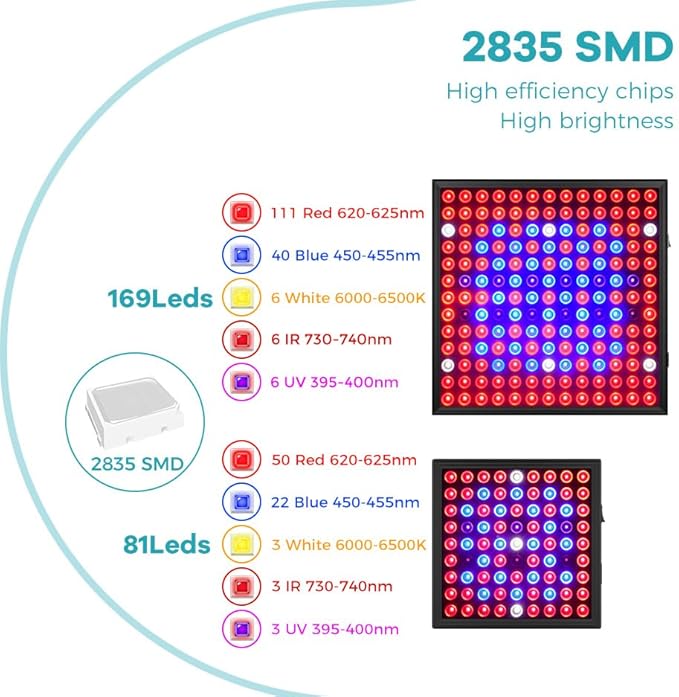 200W LED Full Spectrum100-277V Indoor Planting Seedling Cultivation Red and Blue Light 169LEDs Greenhouse Tent Fruit Fill Lighting Hydroponic Flower Moss Potted Cactus Lights US Plug with Hook Hanging
