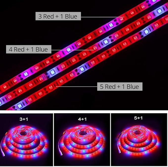 Fengyan Landscape Lights 4 Sets 5m LED Plant Grow Light Strip 12V 5050 Plant Light Strip Full Spectrum Plant Light Red:Blue 3:1 4:1 5:1 LED Street Lamp (Color : 3 red :1 Blue Size : 5M IP65)