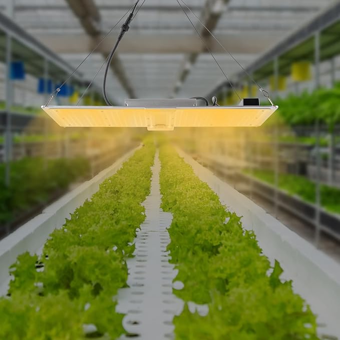 DYNAMI LED Grow LightDimmable Full Spectrum Growth LightIndoor Grow Lamp for PlantsSeedling Veg and Bloom Grow Lamp for Grow Tentw/Hanging Kit (220W)