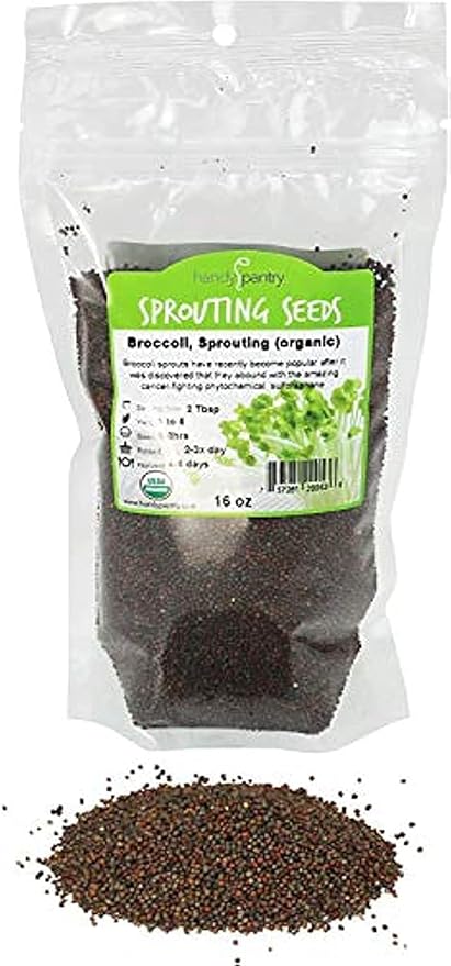Handy Pantry Broccoli Sprouts Seed Organic- 1 Lb - Non-GMO Organic Broccoli Seeds for Sprouting Microgreens Sprouting Seeds Contain Sulforaphane