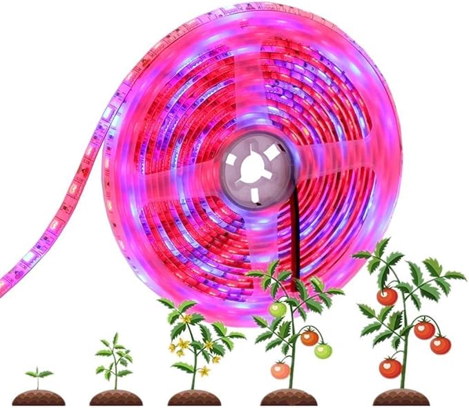 Fengyan Landscape Lights 5050 Led Grow Light Phyto Lamp for Plants Led Strip for Plants Grow Phytolamp for Seedlings Phyto Lamp for Plants Growing Growth LED Street Lamp