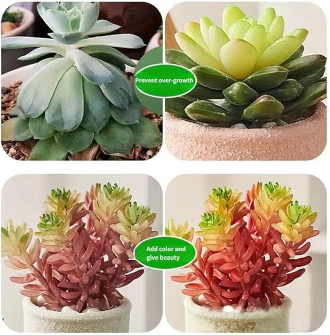 Grow Light Plant Lights for Indoor Plants3 Heads LED Grow Light with Full Spectrum &amp Red Blue Purple Spectrum for Indoor Plant Growing Lamp 3/9/12H Timer 9 Dimmable Levels (Three Head)