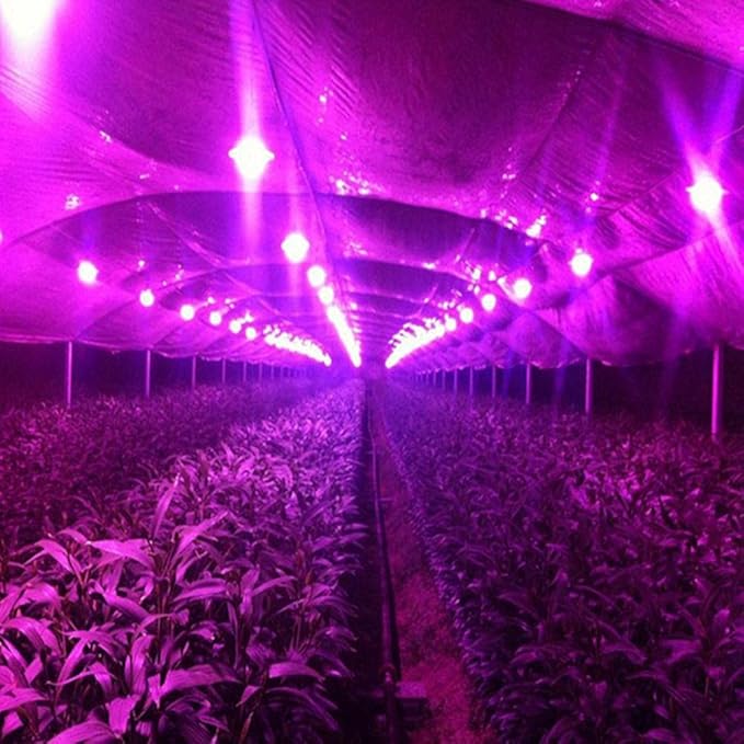 Light Bulbs High Power Full-Spectrum LED Grow Light with Lens for Floodlight LED Bulbs