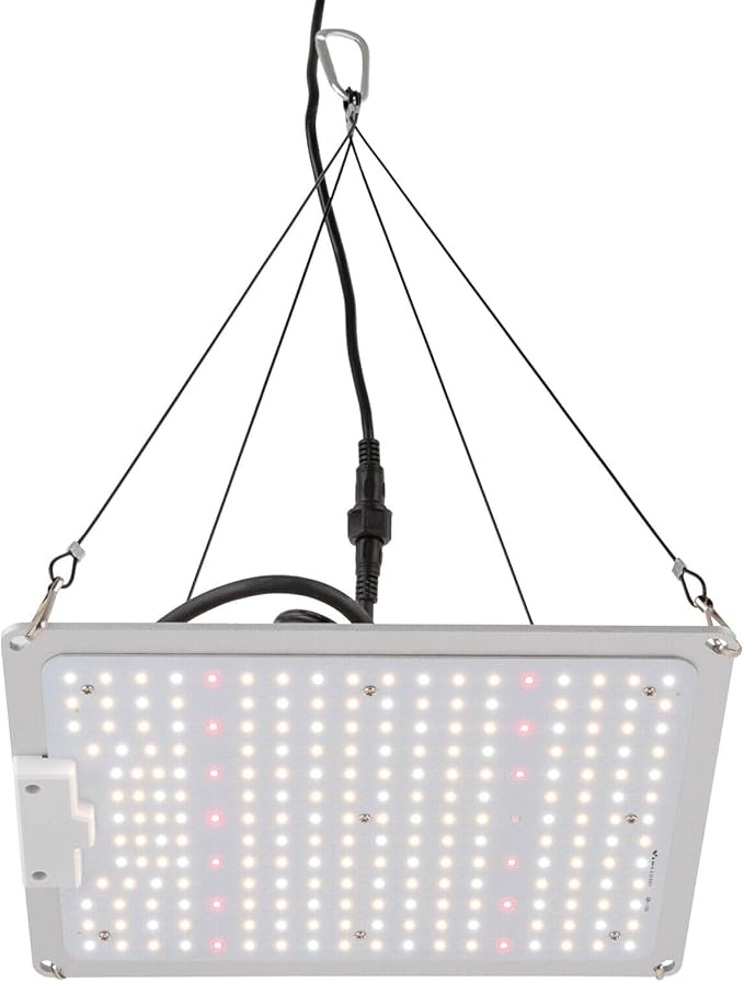 LED Grow Light 110W Plant Growing Lamp LM301B LED Lamp Sunlike Full Spectrum for Indoor Plants Horticulture Aluminum Plate Grow Adjustable Rope Hanger 2x2/3x3ft Grow Tent