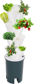 Hydroponics Growing System Indoor Garden 20-Holes Hydroponics Growing Box Kit with Water Pump Movable Vertical Vegetable Plant Tower for Growing Vegetable Fruit IP68 (20-Holes)