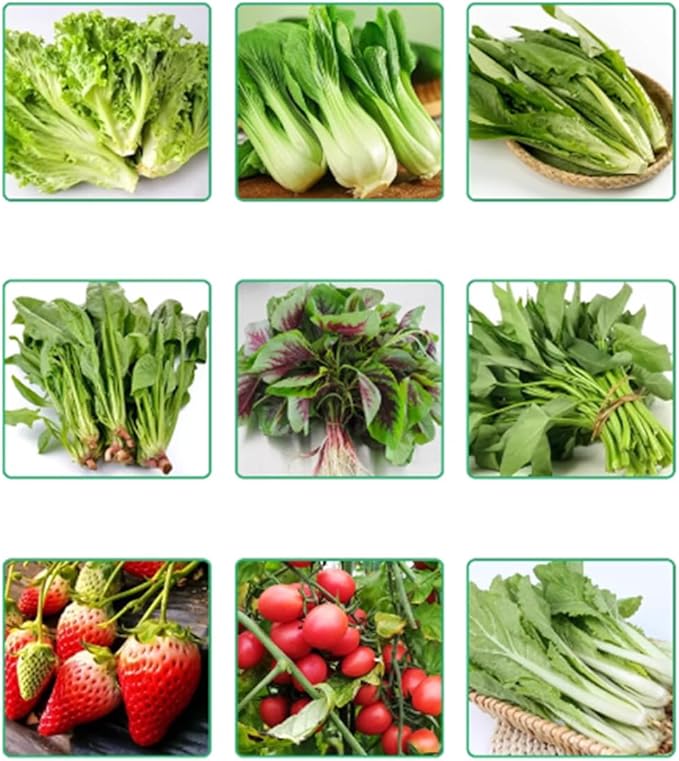 Hydroponics Growing System Kit Balcony-Type Hydroponic Vegetable Growing MachineSingle-Layer Hydroponic Planting RackPVC-Pipe Hydroponic Garden Plantingfor VegetablesFruitsHerbA