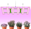 800W LED Full-Spectrum Dimmable Grow Lights with High-Efficiency Diodes100-277V Wide Voltage &amp US Plug for Indoor Herbs Propagation Vegetative/Fruiting Soil-Cultivated Sunlight Replacement Ligh