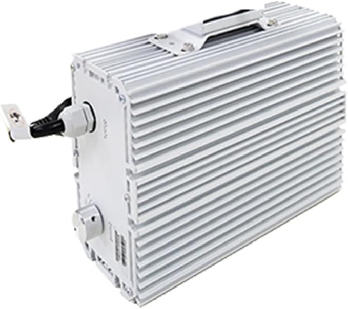 600W 1000W 600 1000W Dimmable Grow Light Digital Ballasts