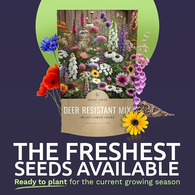 Deer Resistant Wildflower Seed Mixture - Bulk 1/4 Pound Bag - Over 60000 Deer Tolerant Seeds - Open Pollinated and Non GMO