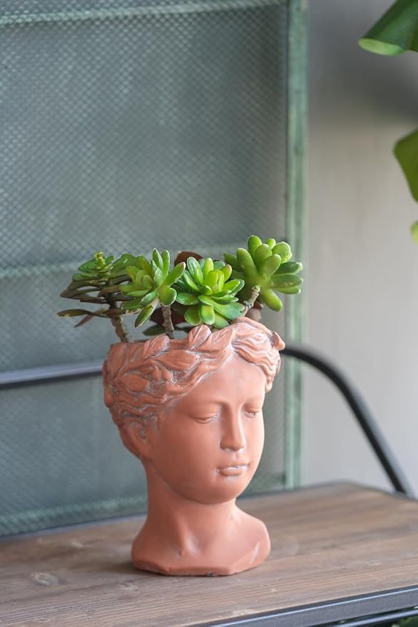 D6x9 Visage Head Bust Planter Brown