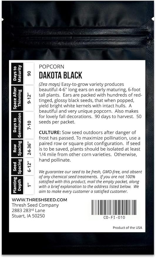 Dakota Black Popcorn - 4oz Bulk (~800 Seeds) - Heirloom &amp Open-Pollinated Variety USA-Grown Non-GMO Corn Seeds for Planting Outdoors in The Home Garden Thresh Seed Company