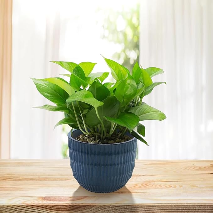 Handmade Navy Blue Ceramic Planter Set of 4 (5.31 to 14.17) IndoorOutdoor Flower Pots for Orchids Succulents by Window Couchside Breathable Textured Clay with Drainage