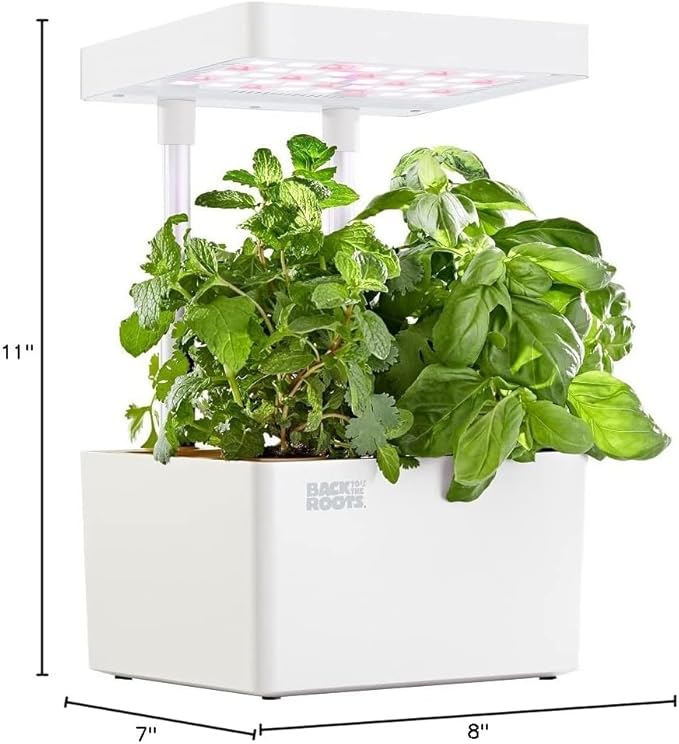 Back to the Roots v1.0 Hydroponic Grow Kit 2022 Model (Pack of 4)