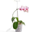 rePotme Grow Light for Orchids Lumina Orchid Full Spectrum Plant Light with Adjustable Height and Automatic Timer (White)