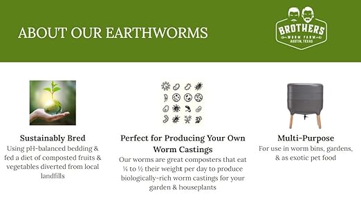 BROTHERS WORM FARM - 1/2 LB (~500) Red Wiggler Compost Worm Blend. Live Worms for Composting and Creating Worm Castings at Home. Ideal for Worm Composters Gardens and Worm Bins.