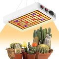 600W LED Growth Lamps – Full Spectrum with 194 Chips Simulate Natural Sunlight Compatible with 100-277V Universal Voltage Comes with US Plugs Ideal for Hydroponic Systems/Nurturing Young Seedlings