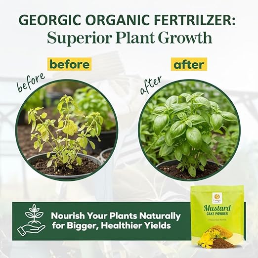 Natural Mustard Oil Cake Powder As Fertilizer for All-Purpose Fertilizer Concentrate for Flower Vegetable Herb Fruit Tree (Pack of 2-6 LB)