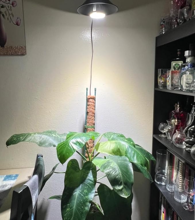 2-Pack Hook Mounted Plant Light Full Spectrum 6000K 25W White Light Timing Plug in Cord Vintage Khaki Cone Shade Goose Neck Wall Lamp for Indoor Plants Flowers Growing