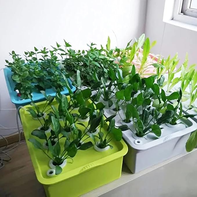Indoor Hydroponic Grow Kit Sponges Best Indoor Herb Garden Grow Fast at Home6 Holes Plant Site Hydroponic Garden Pots Planters SystemC