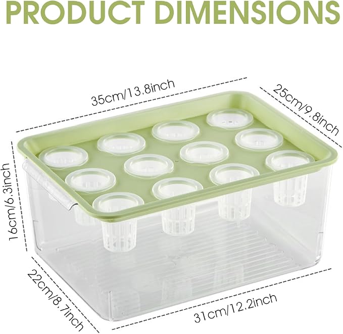 Hydroponic Planter Box 12-Hole Transparent Aquaponics Growing System with Green Lid for Home Balcony or Desktop Decor.