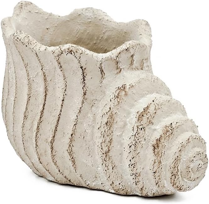 9x5.5x5.7 Sand and Cement Conch Planter with Textured Beige