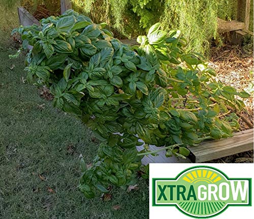 Premium Organic Plant Food
