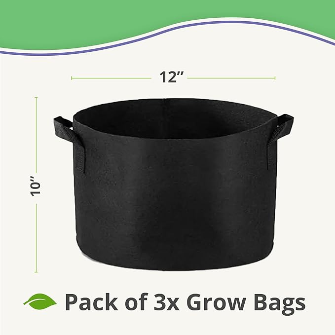 Seed Starting Soil Mix (24 Qts) - Coco Coir 650gm Bricks (2-Pack) + Perlite Bliss + 3 Gallon Grow Bags - Seed Starter Soil for Indoor Plants Outdoor Plants Seedlings - Organic Coco Coir Perlite Mix