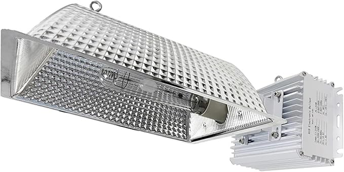 600W 1000W 600 1000W Dimmable Grow Light Digital Ballasts