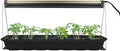 Ferry-Morse Indoor Grow Light Fixture with T5 Bulb Compact Size 24 x 11in. Easy to use and Setup for Seed Starting Growing seedlings &amp cuttings Indoors