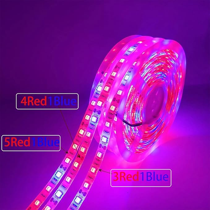 DC 12V 5050 LED Growth Lights Plant Growing LED Strip Light Tape Set with Power and Switch for Aquarium Hydroponic Plant (RED:Blue=4:1 5M Set Waterproof)
