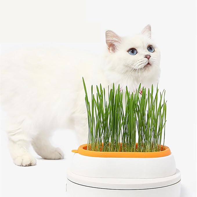 3pcs Indoor Hydroponic Growing Kit and Germination Trays for Catsk Plant Germination Trays