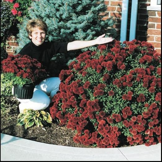 Helps Your Plants Grow Bigger Faster and Stronger 30lb Bucket