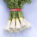 Radish Seeds - Korean - Cheong Du - Hybrid - 1 Lb ~72000 Seeds - Non-GMO F1 Hybrid - Asian Garden Vegetable