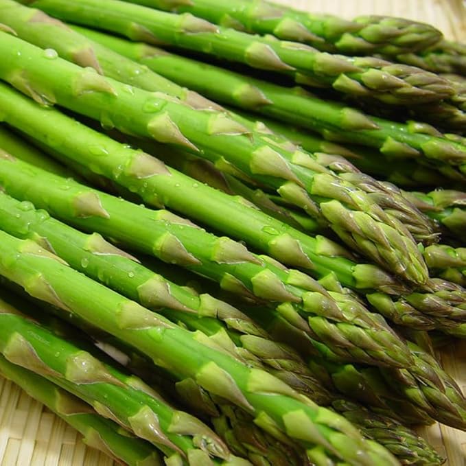 20 Green Asparagus Roots - Bare Root Asparagus Crowns for Planting Perennial Vegetable Plants for Outdoor Garden